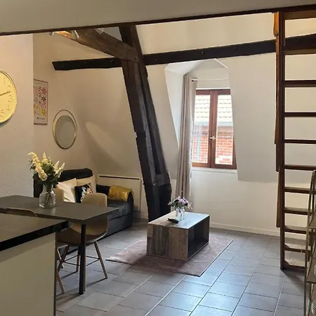 Alsace Apartment *